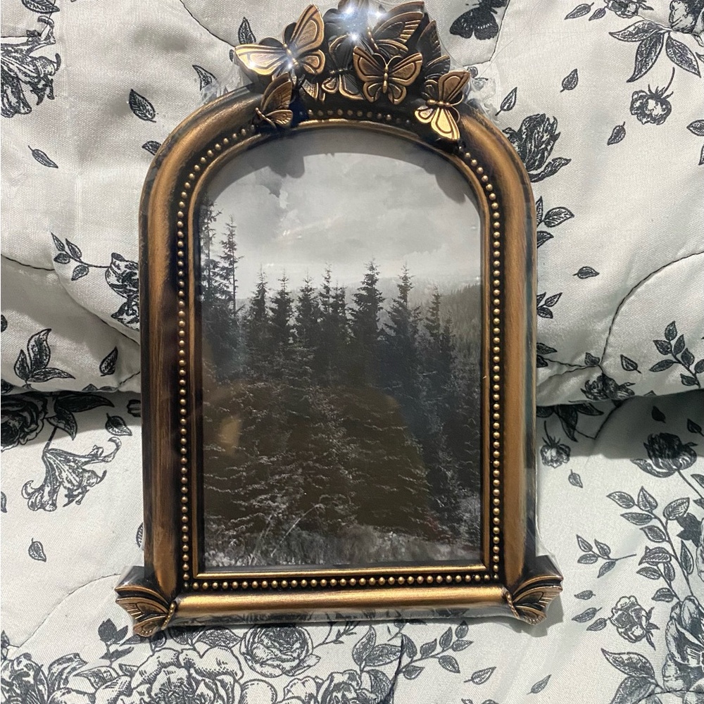 Bronze Butterfly Decorated Picture Frame